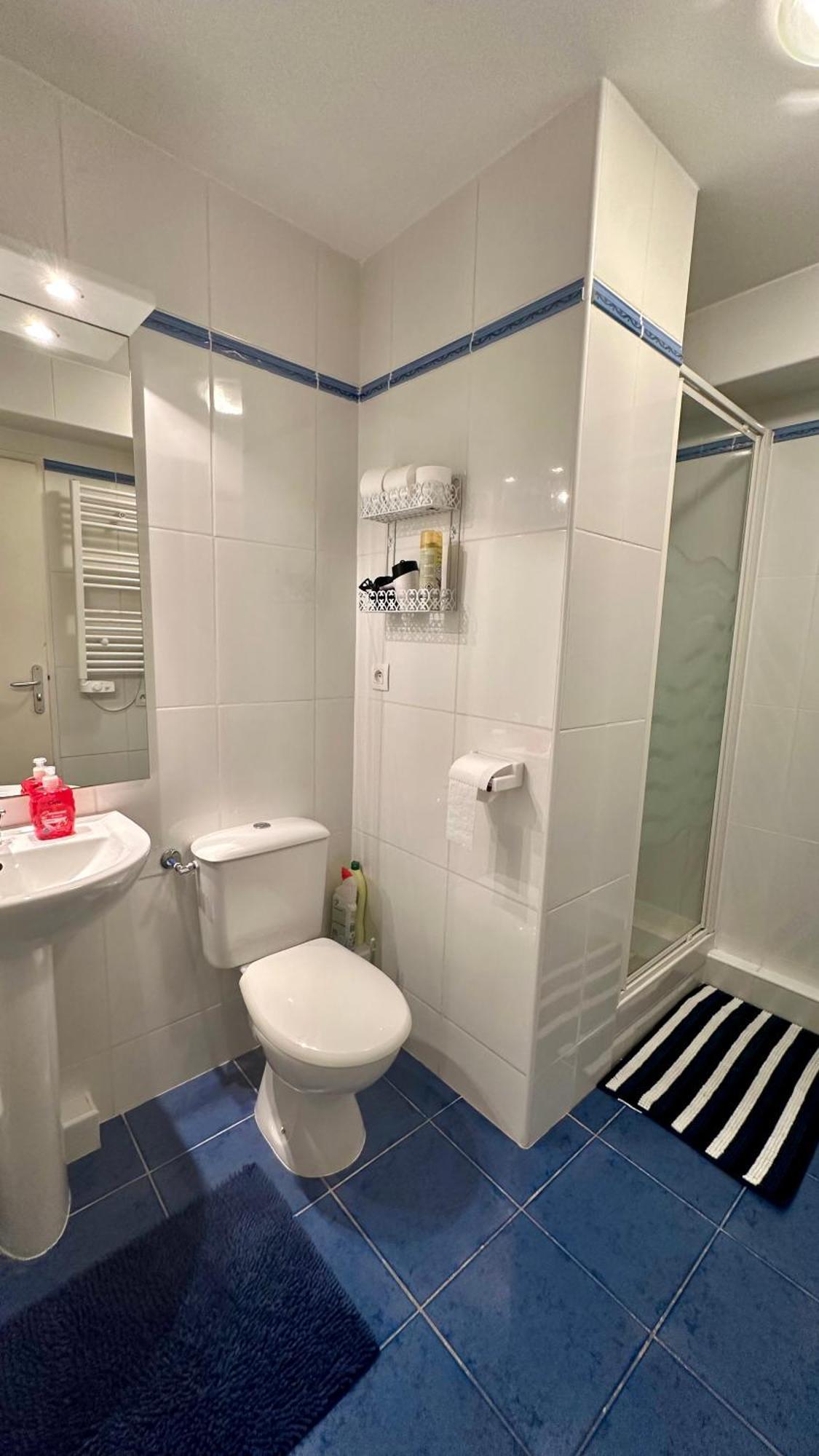 Appartements Du Pic D'Anie أريت المظهر الخارجي الصورة